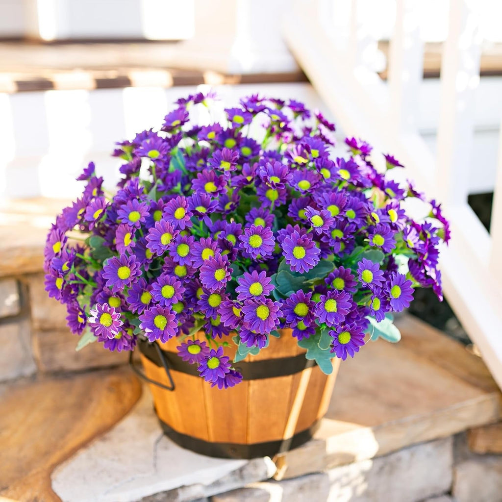 Potted plant with purple flowers on a wooden surface