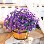 Potted plant with purple flowers on a wooden surface