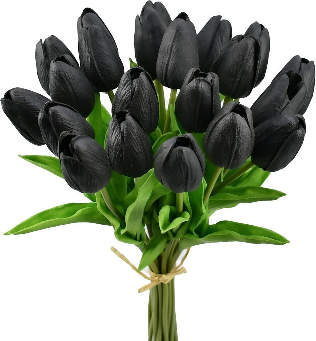 Bouquet of black tulips with green stems on a white background