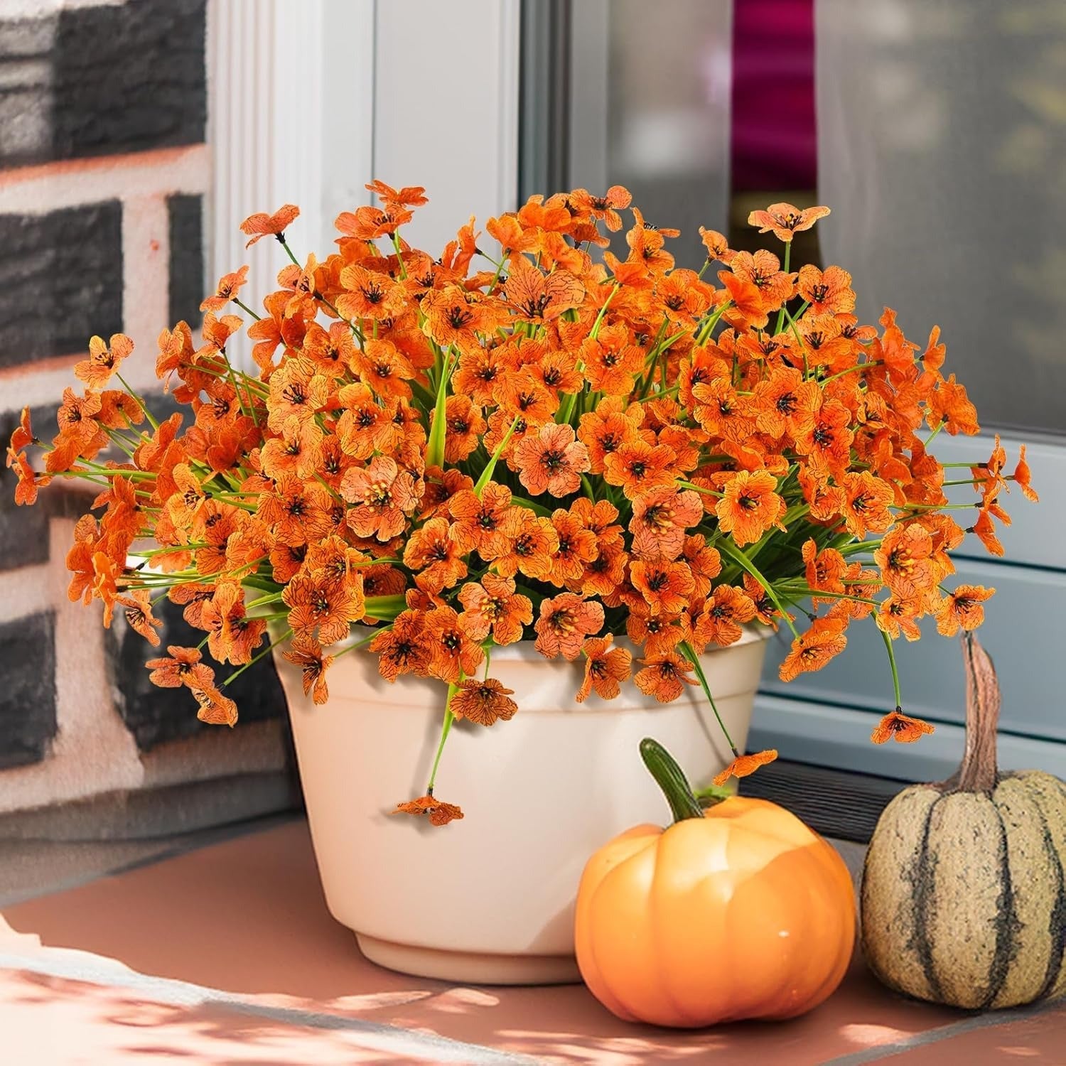 Potted plant with orange flowers on a porch with pumpkins