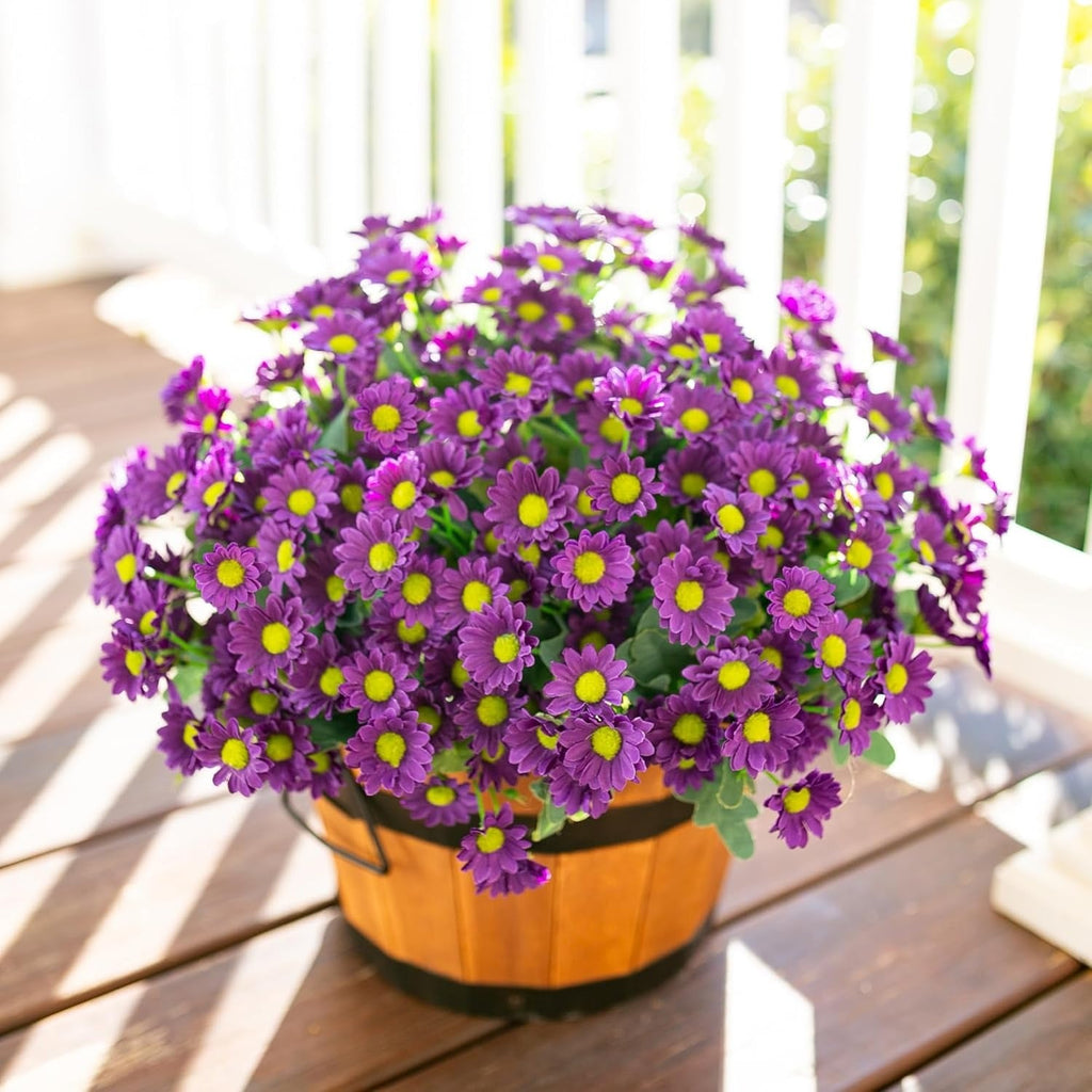 Potted purple flowers with yellow centers on a wooden deck