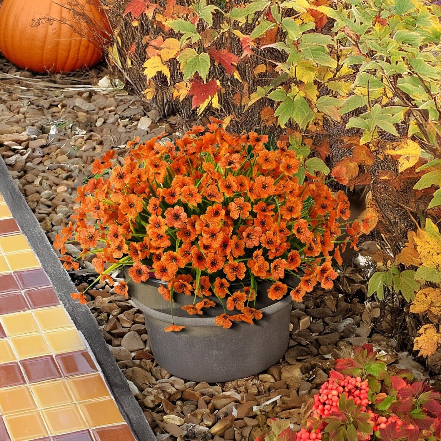 Potted plant with orange flowers in a garden setting with autumn leaves and a pumpkin.