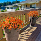 Two potted orange flowers on a wooden deck with a house in the background.