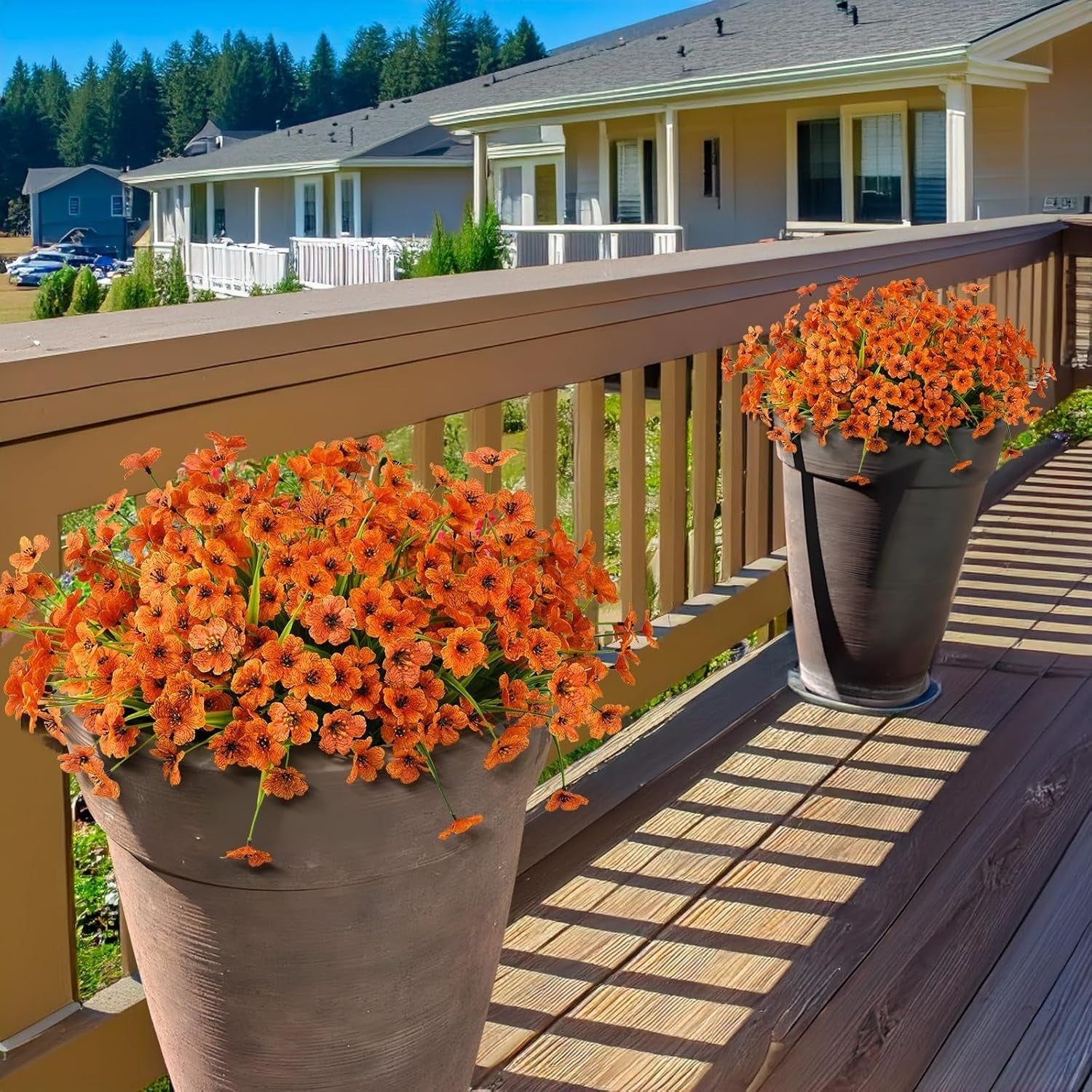 Two potted orange flowers on a wooden deck with a house in the background.
