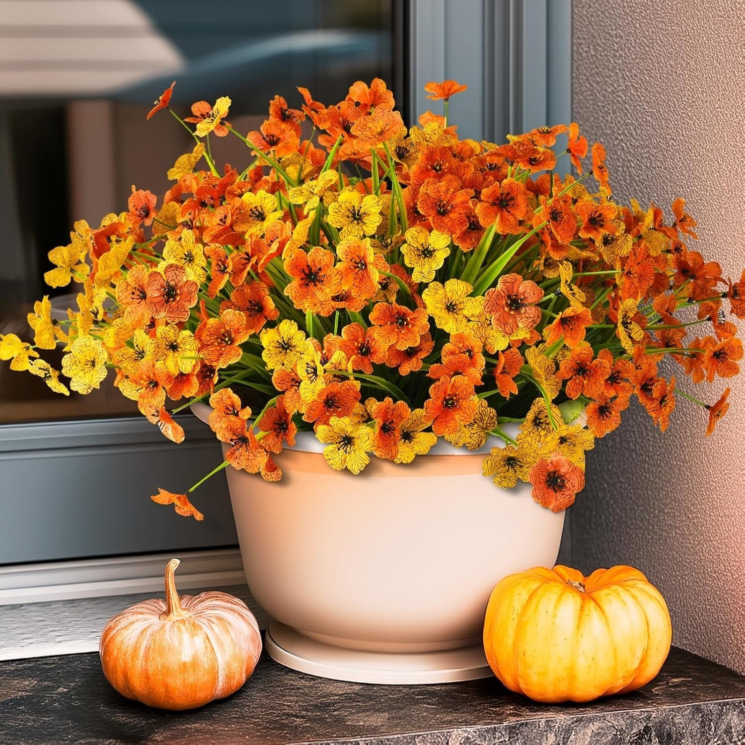 Potted plant with orange and yellow flowers on a windowsill with pumpkins.