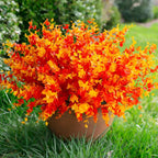 Potted plant with orange and yellow flowers on a grassy background