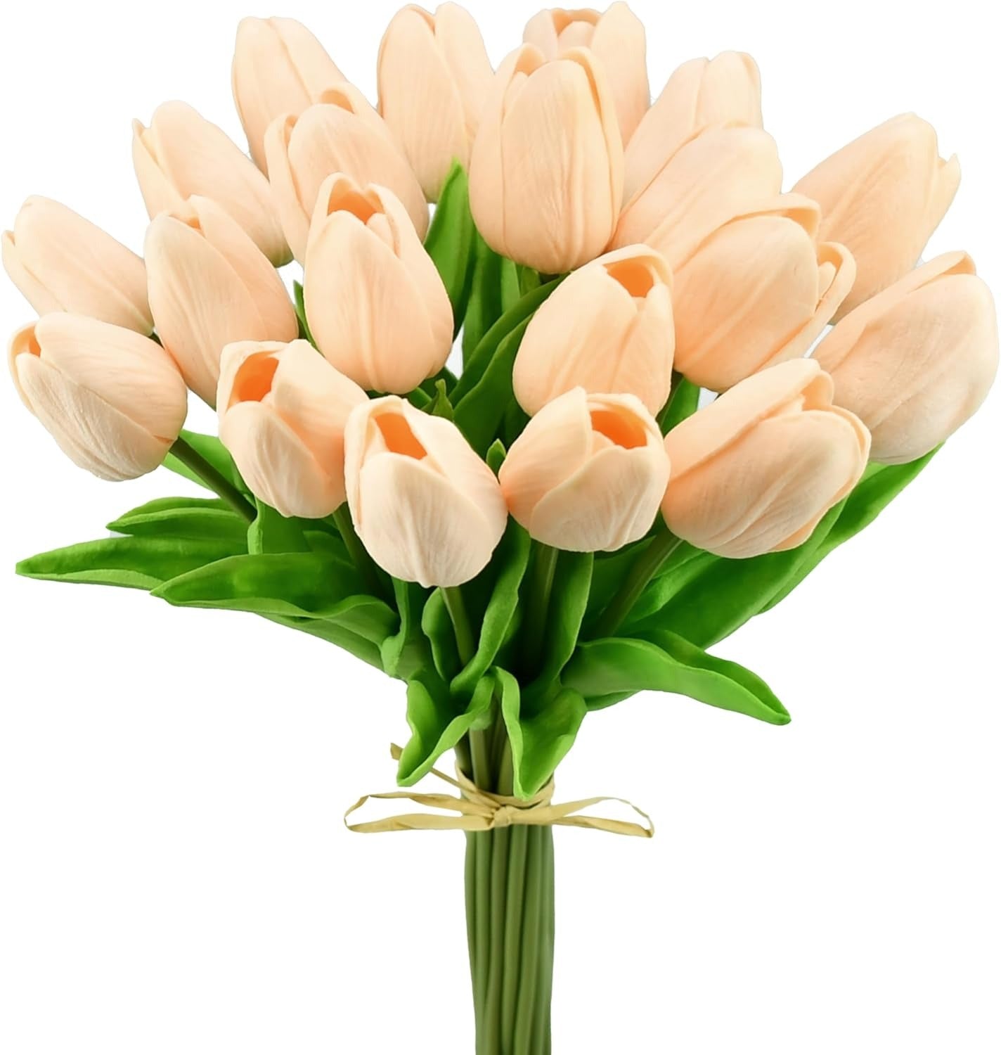 Bouquet of peach-colored tulips with green stems on a white background