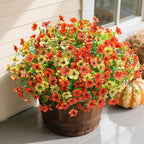 Potted plant with red and yellow flowers on a patio
