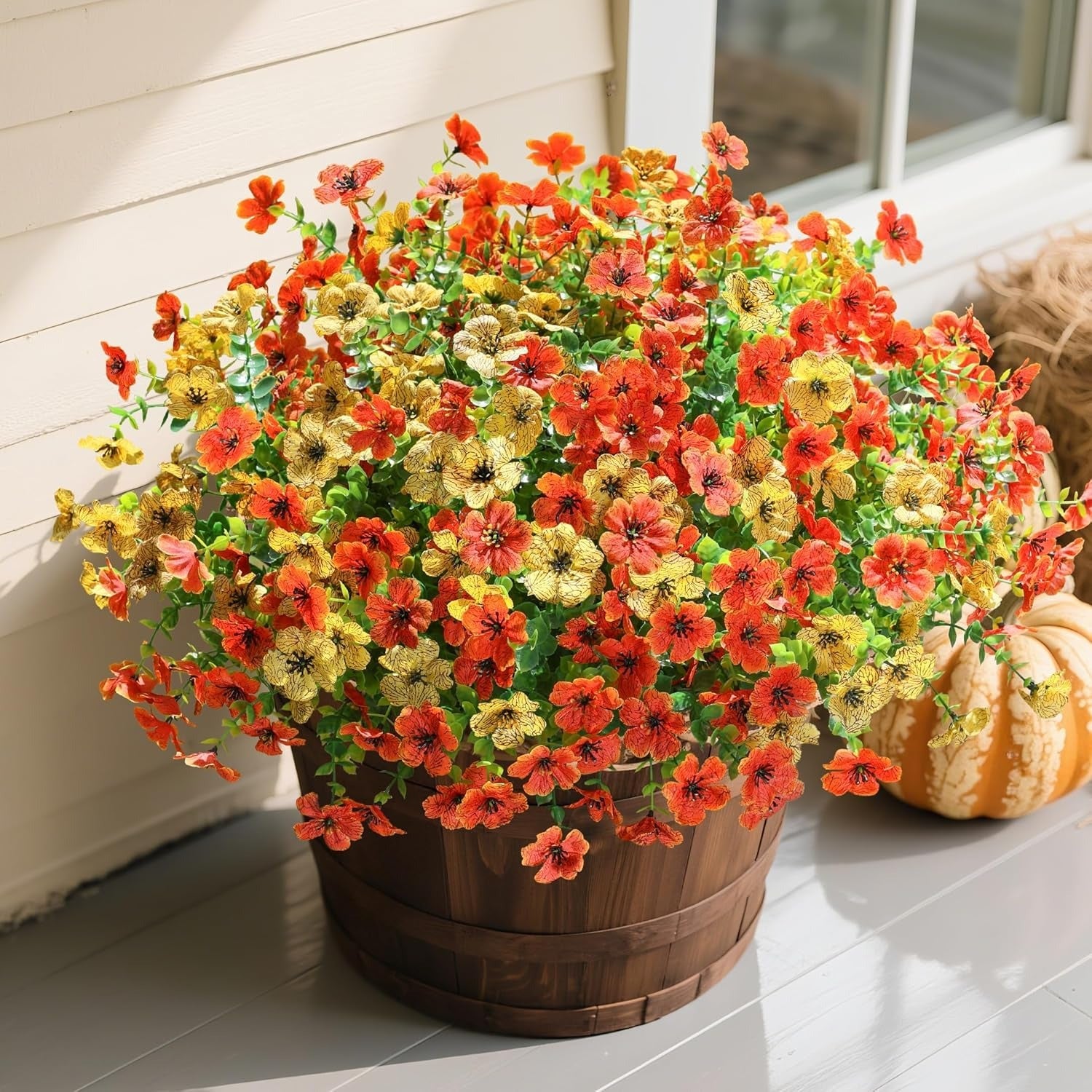 Potted plant with red and yellow flowers on a patio