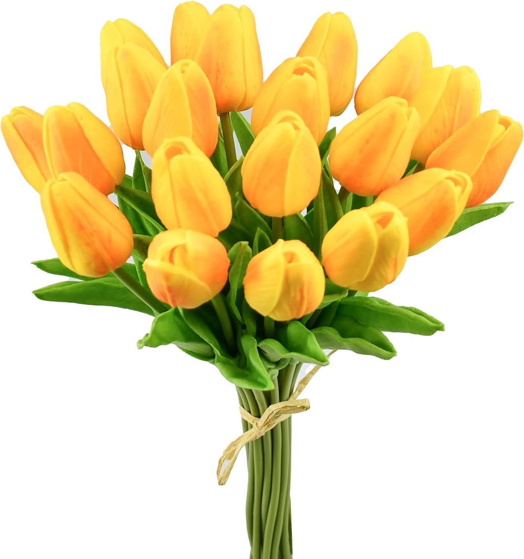 Bouquet of yellow tulips on a white background
