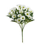 Bouquet of white flowers with green stems on a white background
