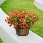Potted plant with red flowers on a concrete surface with grass in the background