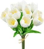 Bouquet of white tulips with green stems on a white background