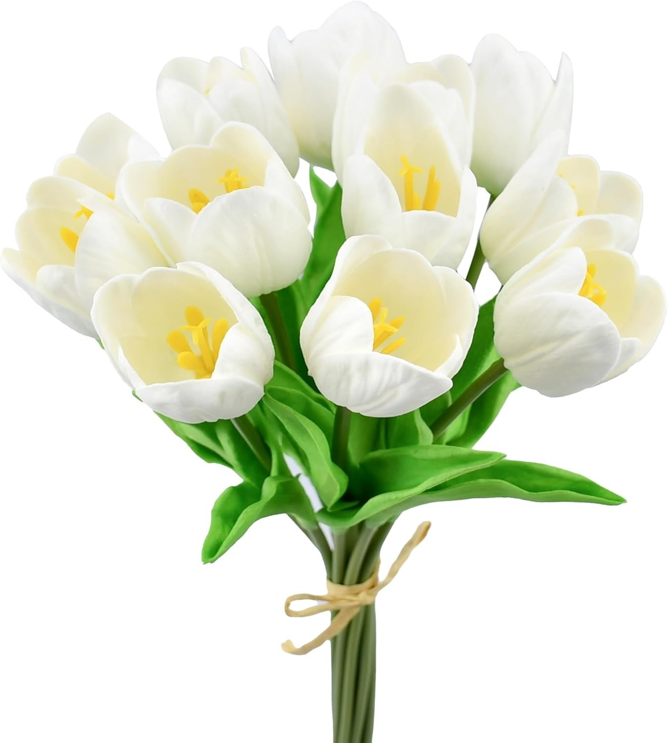 Bouquet of white tulips with green stems on a white background