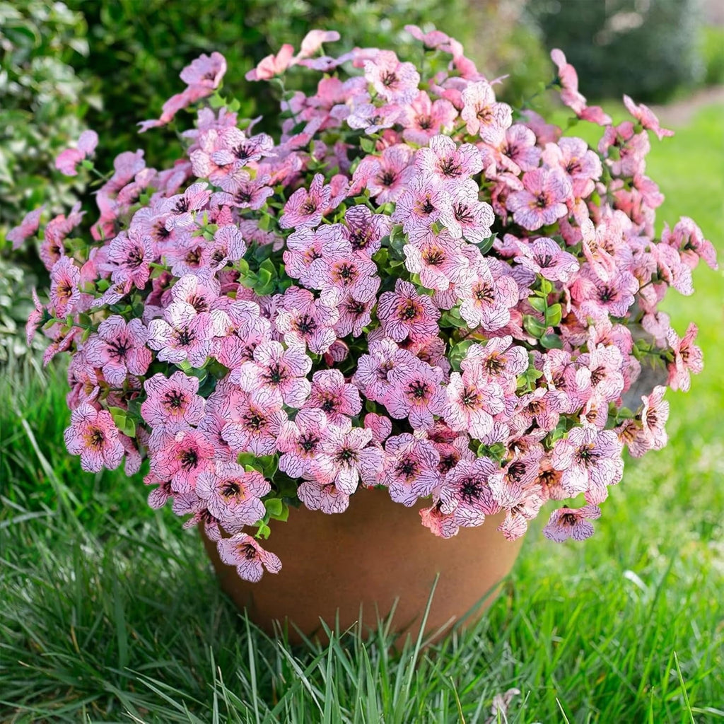 Potted plant with pink flowers on a grassy background