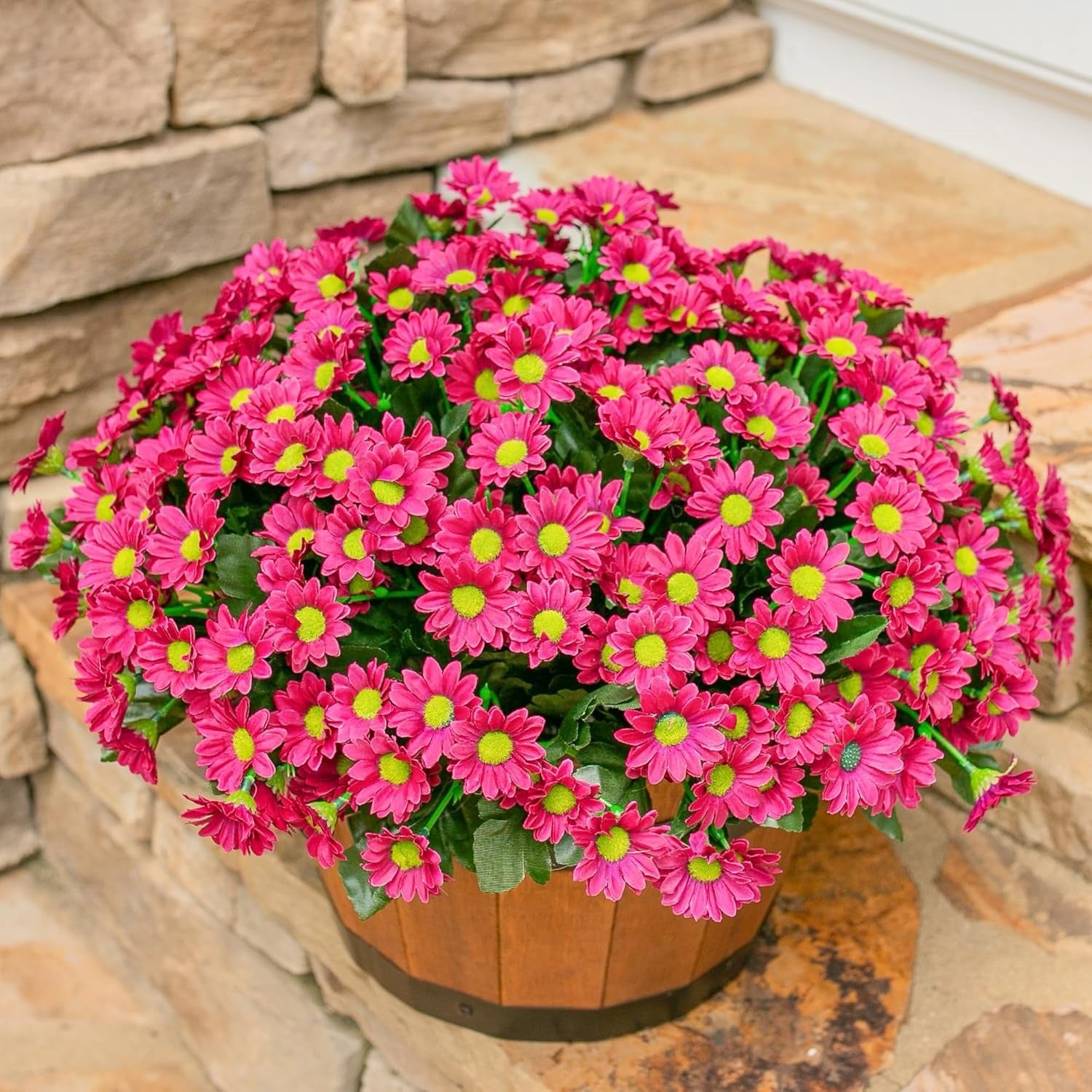 Potted plant with pink flowers and green centers on a stone surface