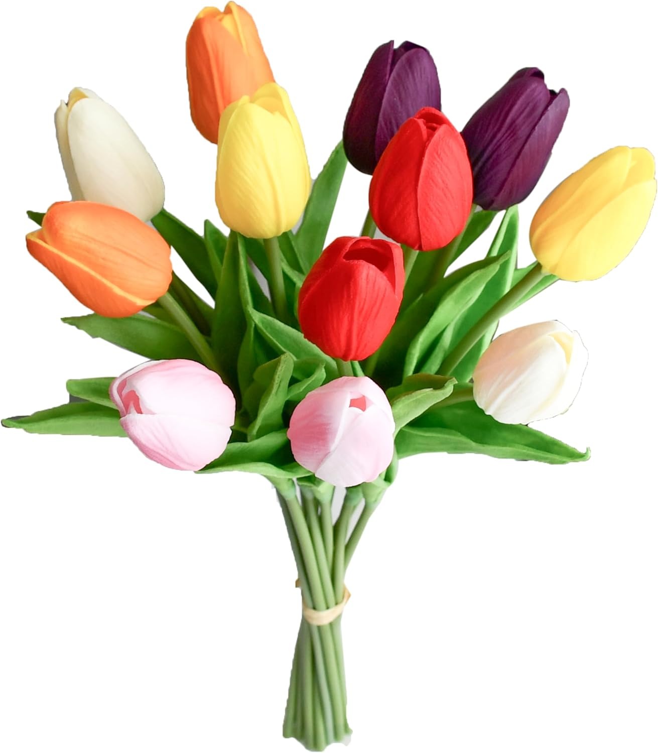 Bouquet of colorful tulips on a white background