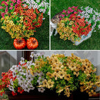 Collage of artificial flowers in pots on grass with a cat, and close-up of the flowers.