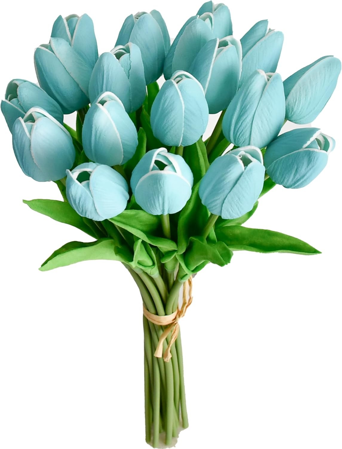 Bouquet of light blue tulips with green stems on a white background