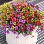 Colorful potted flowers with a white pot on a striped background