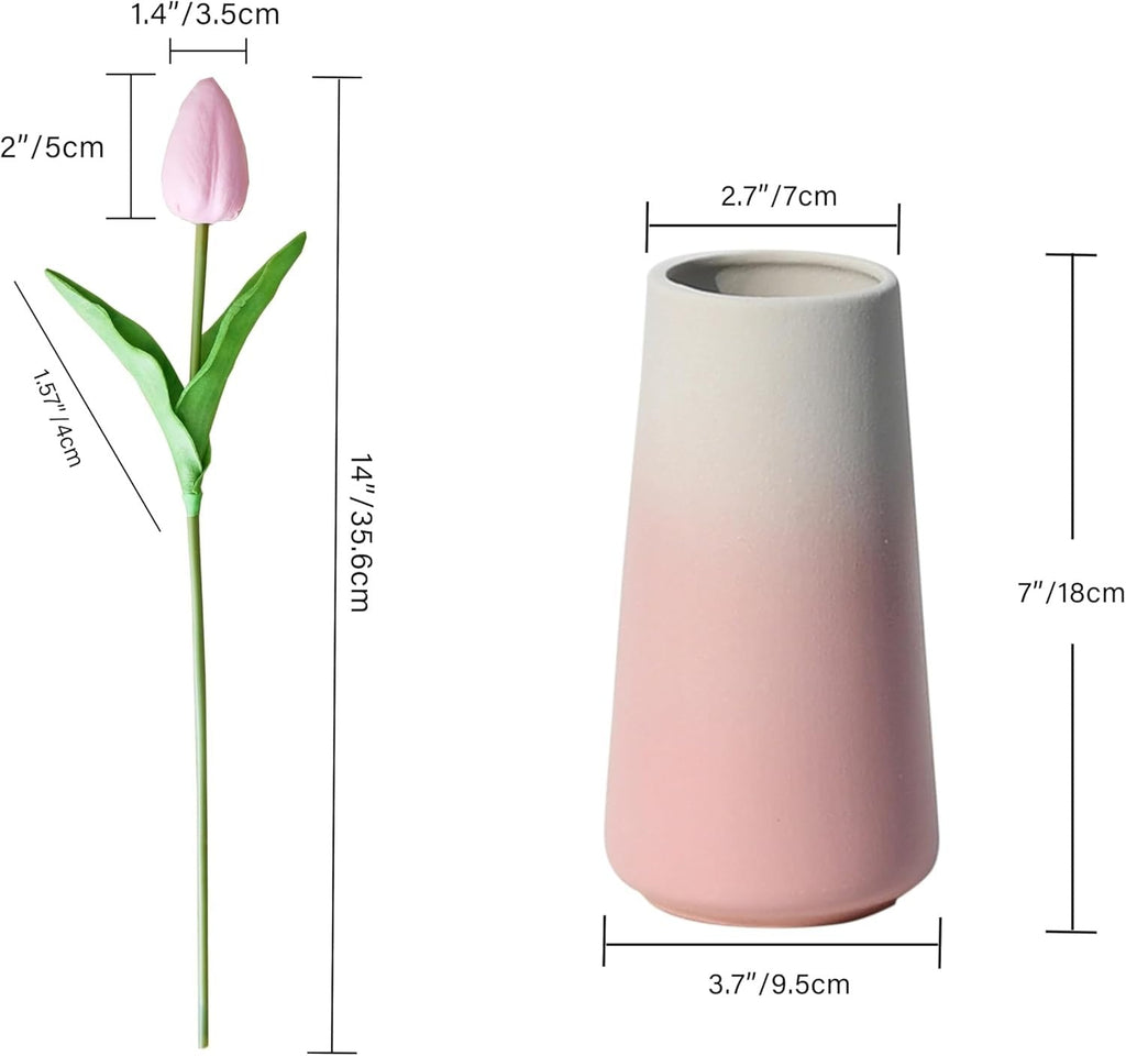 Pink vase with a tulip and measurements on a white background