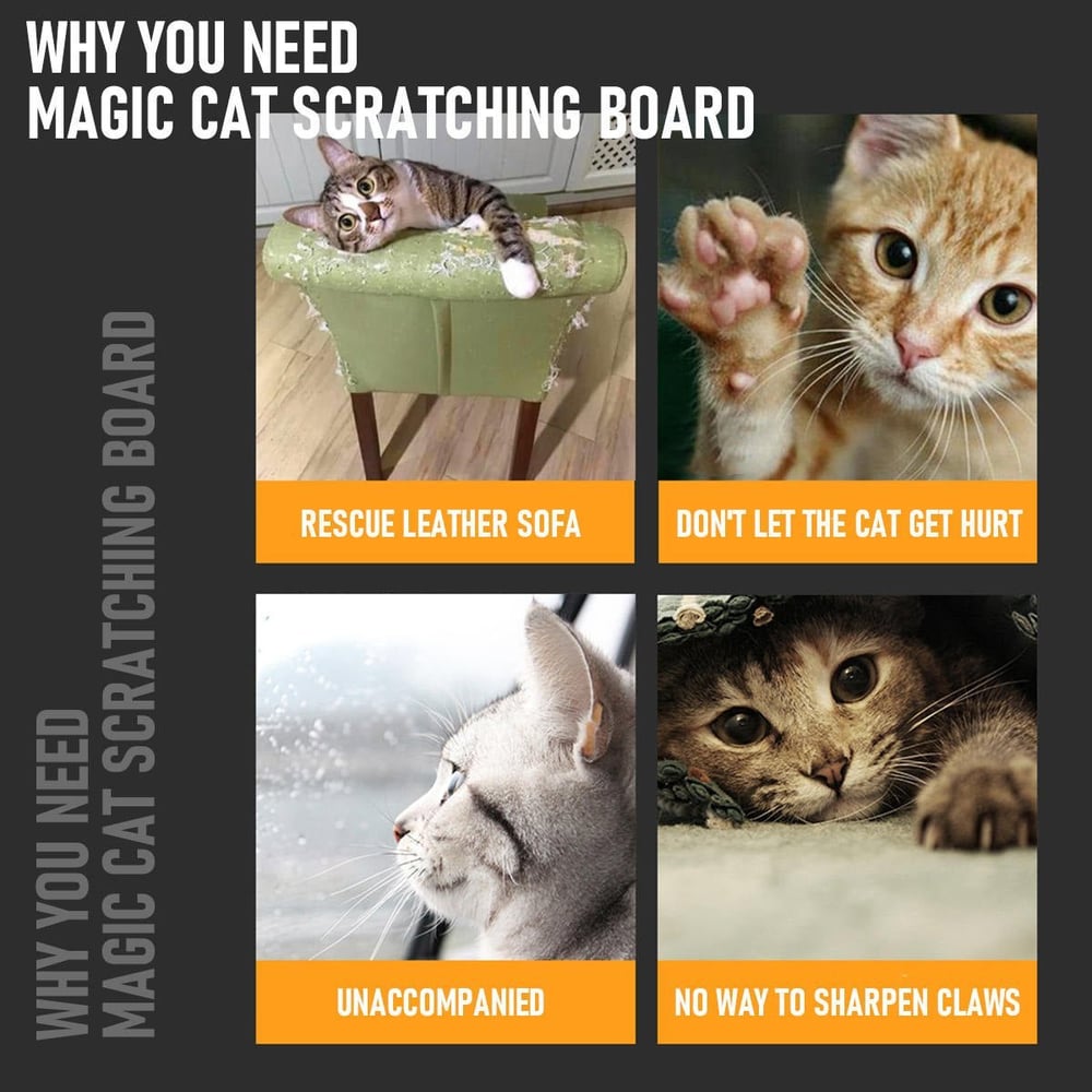 Advertisement for a magic cat scratching board with images of cats and text explaining its benefits.