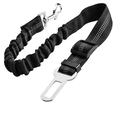 Black dog leash with metal clip on a white background