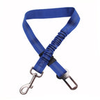 Blue dog leash with metal clip and carabiner on a white background