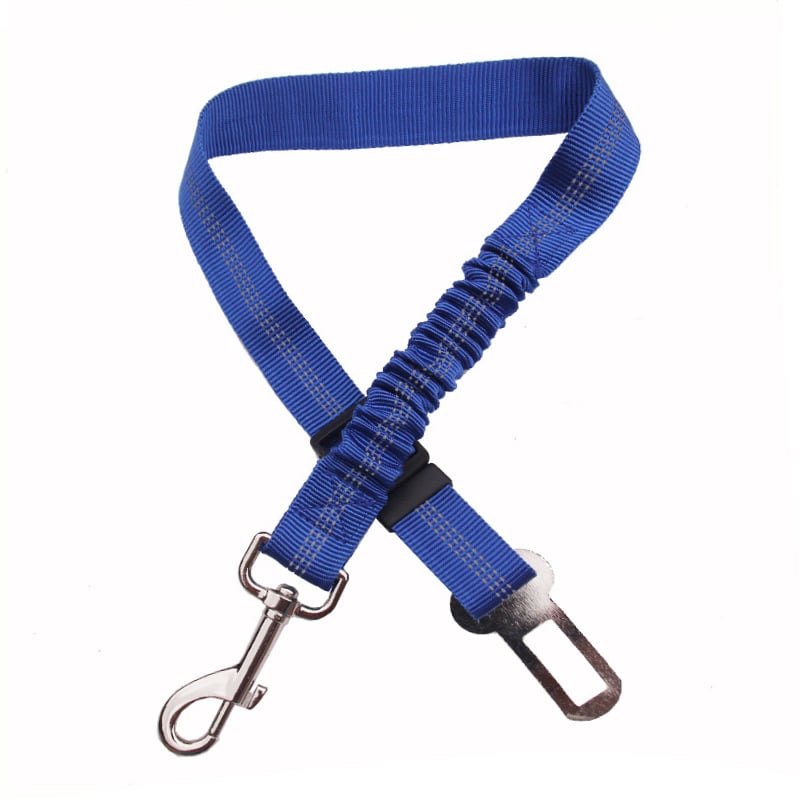 Blue dog leash with metal clip and carabiner on a white background