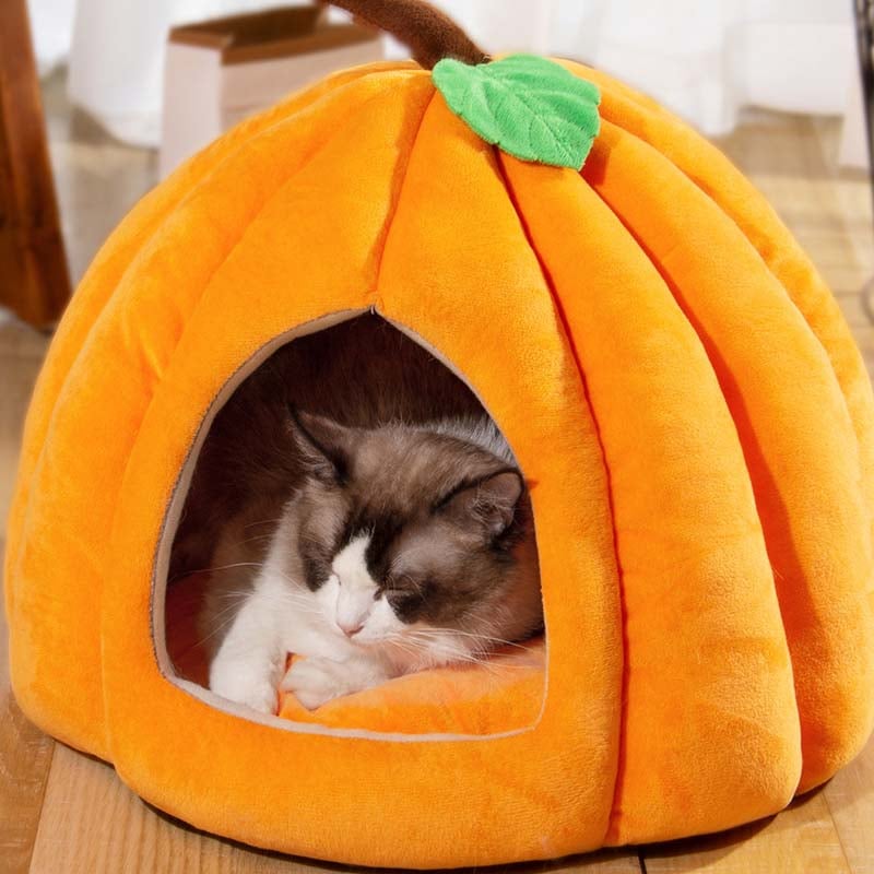 Cat lying inside a pumpkin-shaped pet bed on a wooden floor.
