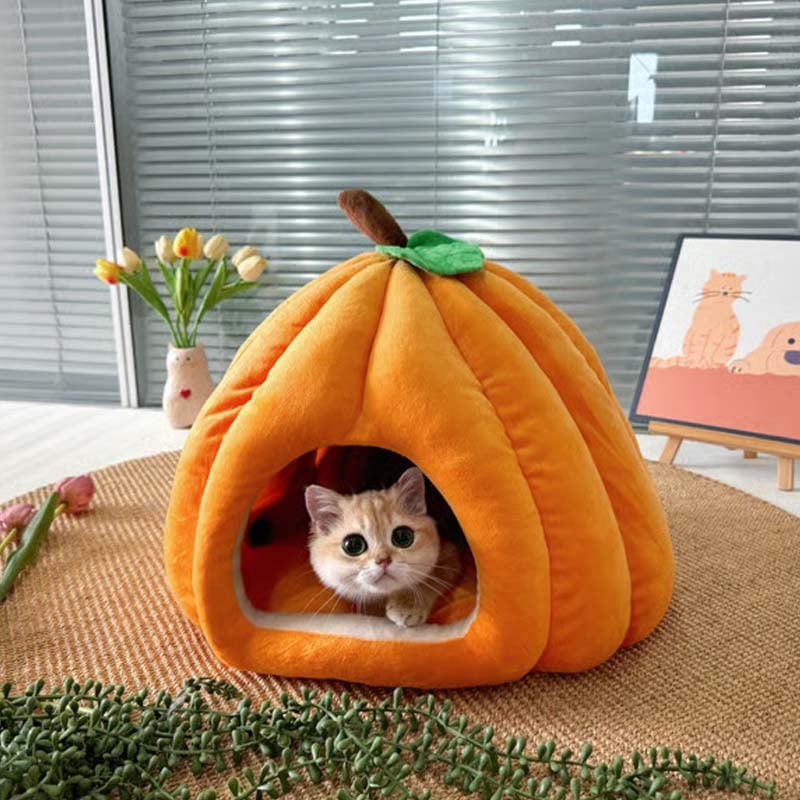 Cat peeking out from a pumpkin-shaped pet bed in a room with a window and decor.