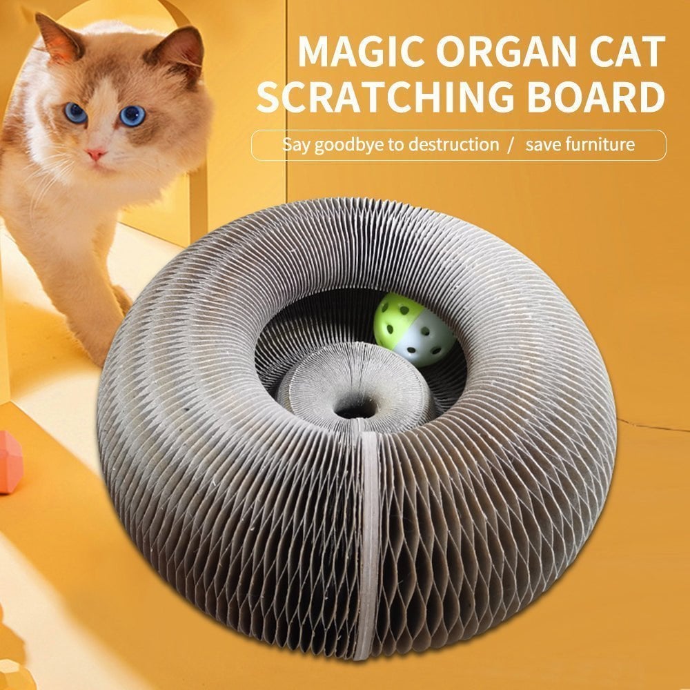 Cat scratching board with a cat on a yellow background