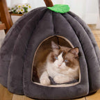 Cat sitting inside a gray pet house shaped like a plum with a green leaf on top.
