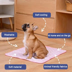 Dog sitting on a pink cooling pad with features highlighted