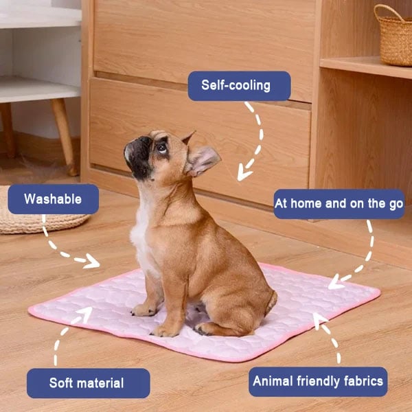 Dog sitting on a pink cooling pad with features highlighted