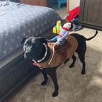 Dog wearing a costume with a toy cowboy on its back in a bedroom s 