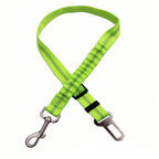 Green dog leash with metal clip on a white background