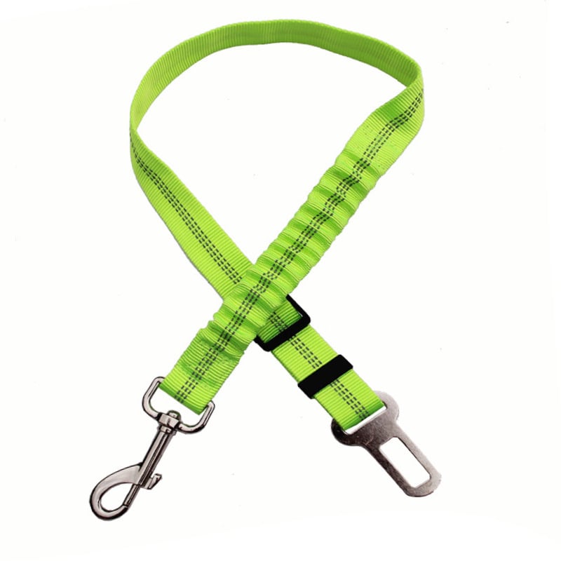 Green dog leash with metal clip on a white background