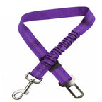 Purple dog leash with metal clip and carabiner on a white background