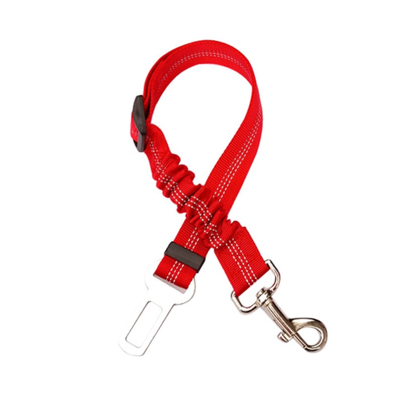 Red dog leash with metal clip and carabiner on a white background