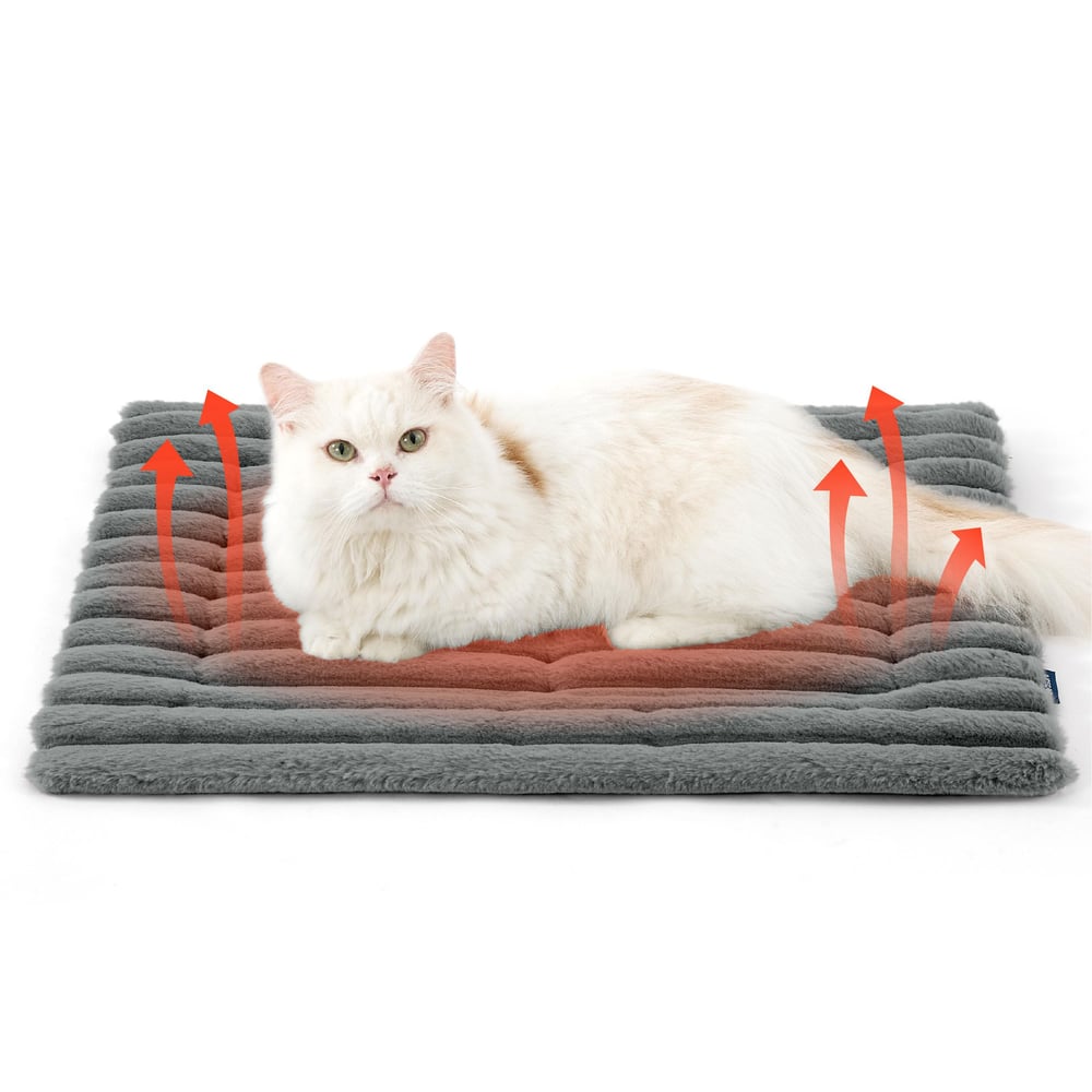 White cat lying on a heated pet mat with red arrows indicating heat.