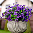 Hanging basket with purple flowers and green leaves against a blurred background